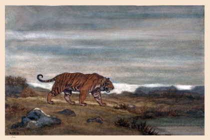 Antoine-Louis Barye - Tigre aproximando-se da lagoa